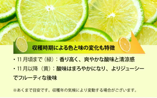 【2026年発送】まろやか多汁マイヤーレモン （島レモン）約2kg