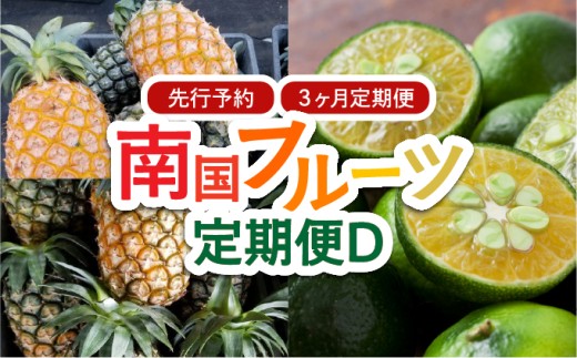 2026年 先行予約 定期便 3ヶ月 南国フルーツ 定期便D ピーチパイン 島パイン シークヮサー 計3種類 果物 フルーツ 3回 お楽しみ