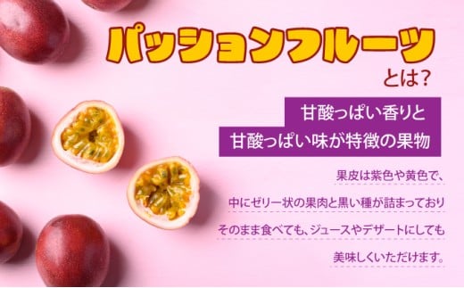 2026幎 å
è¡äºçŽ å®æäŸ¿ 3ã¶æ ååœãã«ãŒã å®æäŸ¿A ãã€ã³ ã·ãŒã¯ã¯ãŒãµãŒ èš4çš®é¡ æç© ãã«ãŒã 3å ãæ¥œãã¿