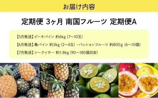 2026幎 å
è¡äºçŽ å®æäŸ¿ 3ã¶æ ååœãã«ãŒã å®æäŸ¿A ãã€ã³ ã·ãŒã¯ã¯ãŒãµãŒ èš4çš®é¡ æç© ãã«ãŒã 3å ãæ¥œãã¿