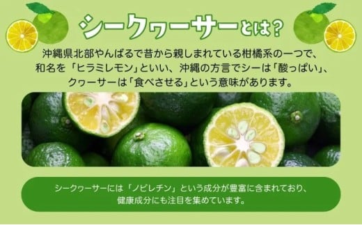 2026幎 å
è¡äºçŽ å®æäŸ¿ 3ã¶æ ååœãã«ãŒã å®æäŸ¿A ãã€ã³ ã·ãŒã¯ã¯ãŒãµãŒ èš4çš®é¡ æç© ãã«ãŒã 3å ãæ¥œãã¿