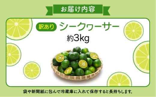 訳あり 2026年 先行予約 青切り シークヮサー 約3kg ☆西表島ふる～つらんど☆ 果物 フルーツ