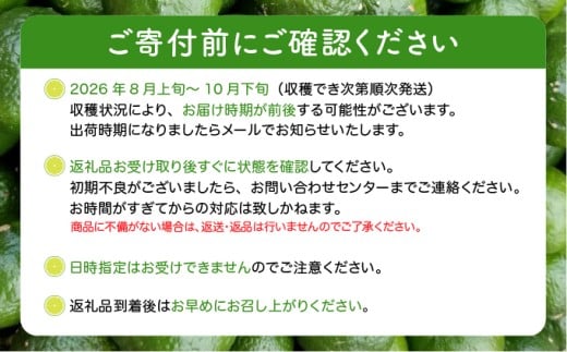 訳あり 2026年 先行予約 青切り シークヮサー 約3kg ☆西表島ふる～つらんど☆ 果物 フルーツ