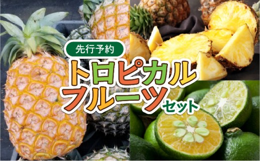 2026年 先行予約 トロピカルフルーツ セット パイン シークワーサー ☆西表島ふる～つらんど☆ 果物 フルーツ