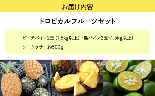 2026幎 å
è¡äºçŽ ãããã«ã«ãã«ãŒã ã»ãã ãã€ã³ ã·ãŒã¯ã¯ãŒãµãŒ â西衚島ãµãïœã€ããã©â æç© ãã«ãŒã