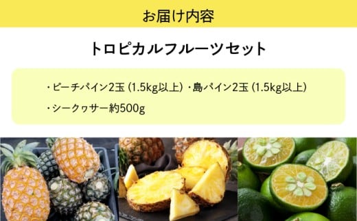 2026年 先行予約 トロピカルフルーツ セット パイン シークワーサー ☆西表島ふる～つらんど☆ 果物 フルーツ