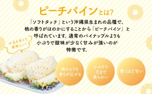 2026年 先行予約 小玉 ピーチパイン 約9kg 16～23玉 ★西表島ふる～つらんど★美味しさギュッと！果物 フルーツ パイン