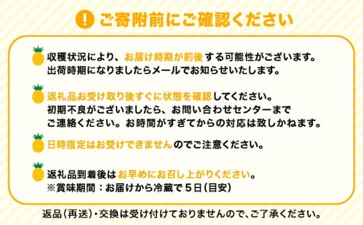 2026年 先行予約 小玉 ピーチパイン 約3.5kg 6～9玉 ★西表島ふる～つらんど★美味しさギュッと！ 果物 フルーツ パイン