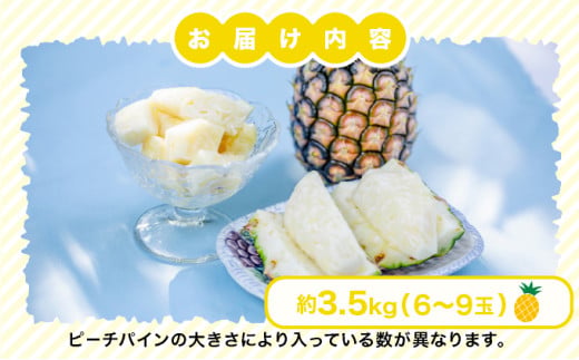 2026年 先行予約 小玉 ピーチパイン 約3.5kg 6～9玉 ★西表島ふる～つらんど★美味しさギュッと！ 果物 フルーツ パイン