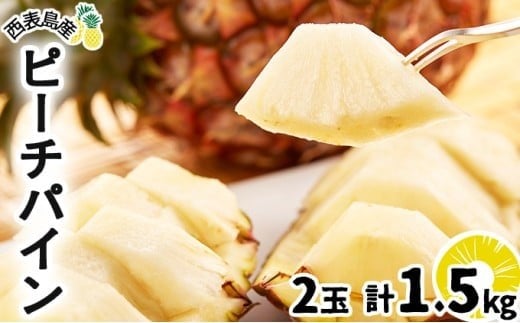 2026年 先行予約 ピーチパイン 2玉 ★西表島ふる～つらんど★不動の人気No.1 甘熟 果物 フルーツ パイン