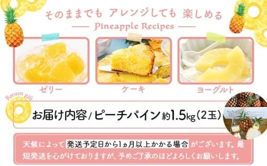 2026幎 å
è¡äºçŽ ããŒããã€ã³ 2ç â
西衚島ãµãïœã€ããã©â
äžåã®äººæ°No.1 çç æç© ãã«ãŒã ãã€ã³