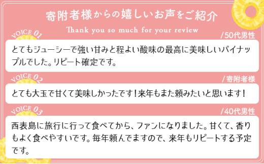 2026年 先行予約 ピーチパイン 約3kg 4～5玉 甘熟 西表島ふる～つらんど 不動の人気No.1 果物 フルーツ パイン