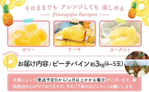 2026年 先行予約 ピーチパイン 約3kg 4～5玉 甘熟 西表島ふる～つらんど 不動の人気No.1 果物 フルーツ パイン