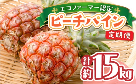 定期便 2ヶ月 絶品ピーチパイン 約7.5kg 【F-SOU/F】 2026年 先行予約 ★ファミリーサイズ★ 西表島 初エコファーマー認定 2回 お楽しみ 果物 フルーツ 【036-a006】