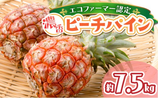 濃香ピーチパイン 約7.5kg 【F】 2026年 先行予約 ★ファミリーサイズ★ 西表島 絶品 初エコファーマー認定 果物 フルーツ 【036-a005】