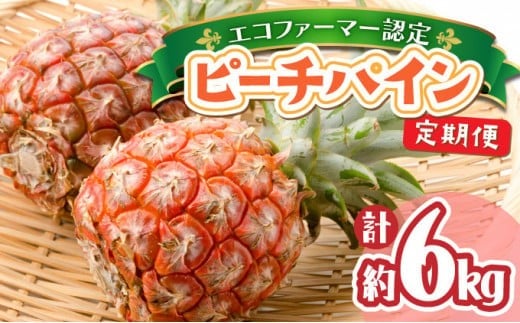 定期便 2ヶ月 絶品ピーチパイン 約3kg【E-SOU/Ｅ】 2026年 先行予約 西表島 初エコファーマー認定 パイン 果物 フルーツ 2回 お楽しみ　【036-a003】