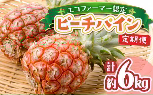 定期便 2ヶ月 絶品ピーチパイン 約3kg【E-SOU/Ｅ】 2026年 先行予約 西表島 初エコファーマー認定 パイン 果物 フルーツ 2回 お楽しみ　【036-a003】