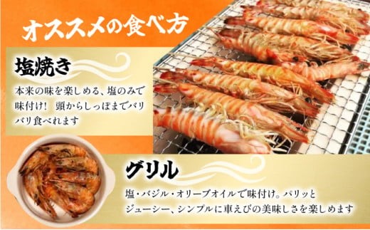 冷凍車えび 500g 竹富島産 エビ