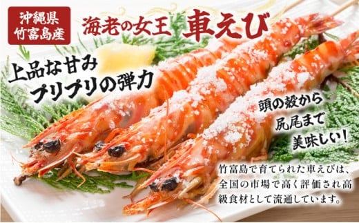 冷凍車えび 500g 竹富島産 エビ