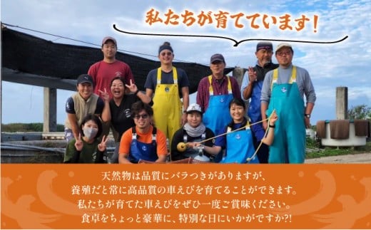 冷凍車えび 500g 竹富島産 エビ