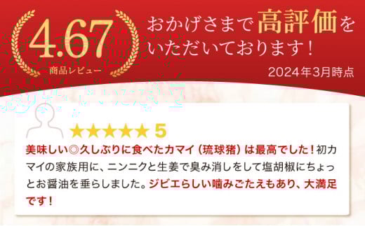 ジビエ イノシシ 肉 西表島産 スライス 200g×2パック