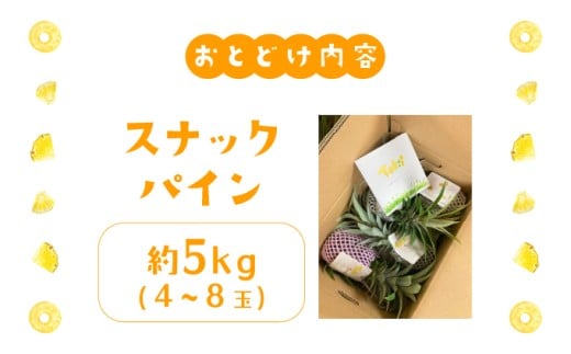 ãã€ãããã« ã¹ããã¯ãã€ã³ çŽ5kg 4ïœ8ç ãã€ã³ æç© ãã«ãŒã æ²çž 西衚島ãTOK:iãµããŒãã é
éäžå¯ïŒé¢å³¶