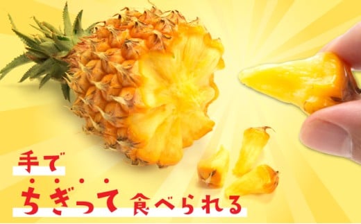 ãã€ãããã« ã¹ããã¯ãã€ã³ çŽ5kg 4ïœ8ç ãã€ã³ æç© ãã«ãŒã æ²çž 西衚島ãTOK:iãµããŒãã é
éäžå¯ïŒé¢å³¶
