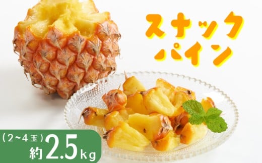 パイナップル スナックパイン 約2.5kg 2～4玉 パイン 果物 フルーツ 沖縄 西表島【TOK:iふぁーむ】配送不可：離島