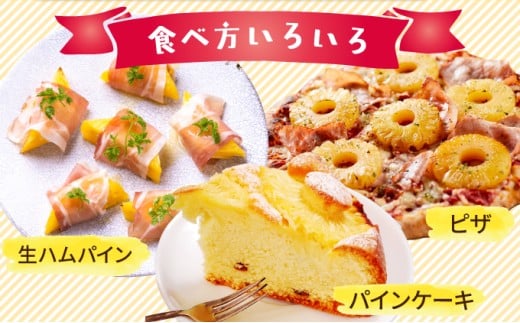 ãã€ãããã« ã¹ããã¯ãã€ã³ çŽ2.5kg 2ïœ4ç ãã€ã³ æç© ãã«ãŒã æ²çž 西衚島ãTOK:iãµããŒããé
éäžå¯ïŒé¢å³¶