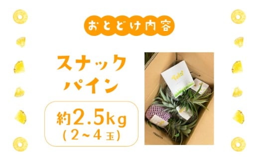 ãã€ãããã« ã¹ããã¯ãã€ã³ çŽ2.5kg 2ïœ4ç ãã€ã³ æç© ãã«ãŒã æ²çž 西衚島ãTOK:iãµããŒããé
éäžå¯ïŒé¢å³¶