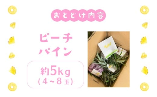 ãã€ãããã« ããŒããã€ã³ çŽ5kg 4ïœ8ç ãã€ã³ æç© ãã«ãŒã æ²çž 西衚島ãTOK:iãµããŒãã é
éäžå¯ïŒé¢å³¶