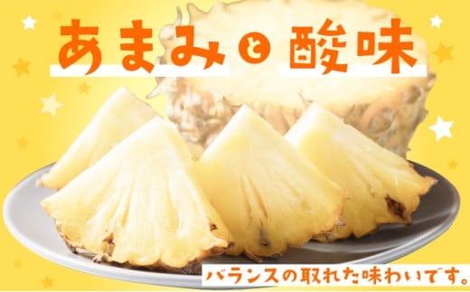ãã€ãããã« ããŒããã€ã³ çŽ5kg 4ïœ8ç ãã€ã³ æç© ãã«ãŒã æ²çž 西衚島ãTOK:iãµããŒãã é
éäžå¯ïŒé¢å³¶