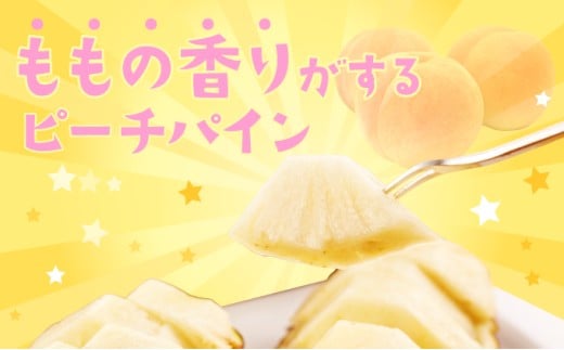 ãã€ãããã« ããŒããã€ã³ çŽ5kg 4ïœ8ç ãã€ã³ æç© ãã«ãŒã æ²çž 西衚島ãTOK:iãµããŒãã é
éäžå¯ïŒé¢å³¶