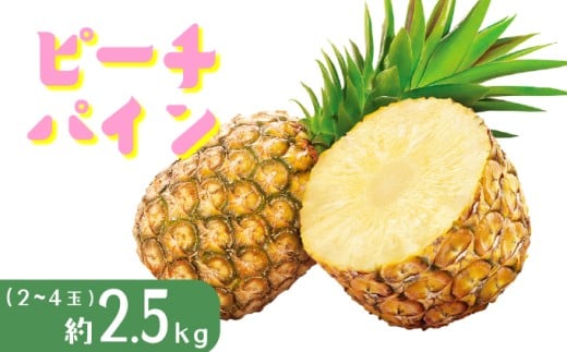 パイナップル ピーチパイン 約2.5kg 2～4玉 パイン 果物 フルーツ 沖縄 西表島【TOK:iふぁーむ】配送不可：離島