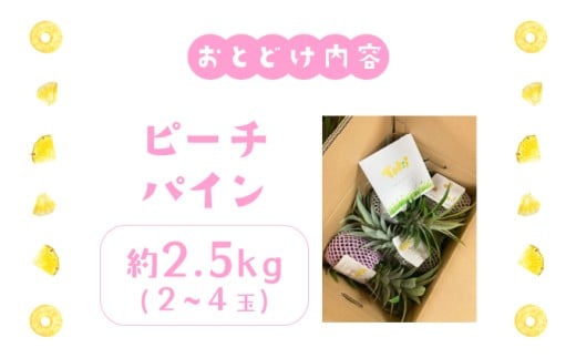 ãã€ãããã« ããŒããã€ã³ çŽ2.5kg 2ïœ4ç ãã€ã³ æç© ãã«ãŒã æ²çž 西衚島ãTOK:iãµããŒããé
éäžå¯ïŒé¢å³¶