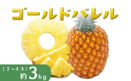 パイナップル ゴールドバレル 約3kg 2～4玉 パイン 果物 フルーツ 沖縄 西表島【TOK:iふぁーむ】配送不可：離島