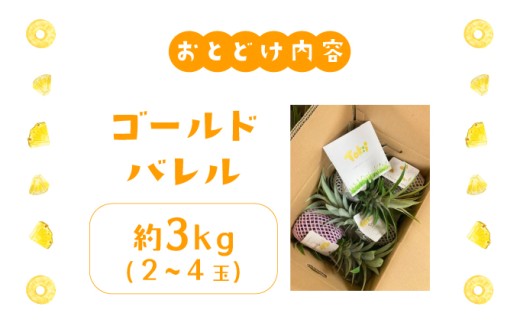 ãã€ãããã« ãŽãŒã«ããã¬ã« çŽ3kg 2ïœ4ç ãã€ã³ æç© ãã«ãŒã æ²çž 西衚島ãTOK:iãµããŒããé
éäžå¯ïŒé¢å³¶