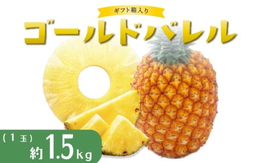 パイナップル ゴールドバレル 1玉 ハウス栽培 ギフト箱入 パイン 果物 フルーツ 沖縄 西表島【TOK:iふぁーむ】配送不可：離島