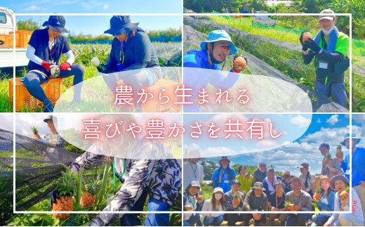 ãããŒãå®æäŸ¿â
çŽ4kgÃ3åãâæ°æèŠâ æ¡ã®ãããªè³éãªéŠãã®ãããè¥¿è¡šå³¶ç£ å®çããŒããã€ã³ã 2026幎 çºé 西衚島ããŠãã« ãã€ãããã« æç© ãã«ãŒã ãã¶ãŒã