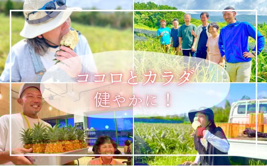 ãããŒãå®æäŸ¿â
çŽ4kgÃ3åãâæ°æèŠâ æ¡ã®ãããªè³éãªéŠãã®ãããè¥¿è¡šå³¶ç£ å®çããŒããã€ã³ã 2026幎 çºé 西衚島ããŠãã« ãã€ãããã« æç© ãã«ãŒã ãã¶ãŒã