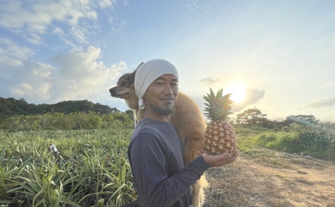 濃香ピーチパイン約9.5kg 【P】2024年 先行予約 ★たっぷり大家族サイズ★西表島 絶品 初エコファーマー認定【036-a008】