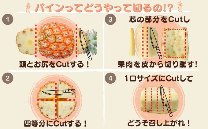 訳あり パイン 2024年 先行予約 完熟 ピーチパイン約8Kg ご家族満足用 西表島ナウパカ ☆ほんの〜り桃の香りのする不思議なパイン☆ 果物 フルーツ