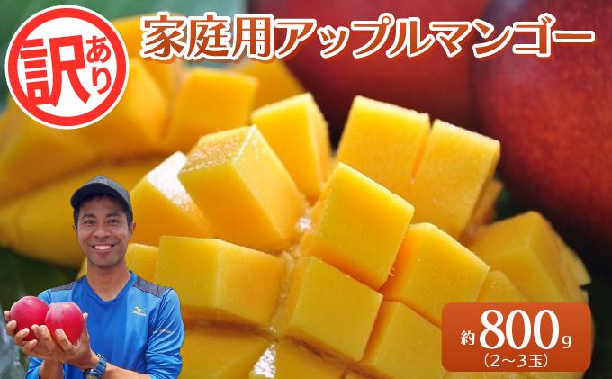 2026年 訳あり／家庭用　アップルマンゴー 約800g