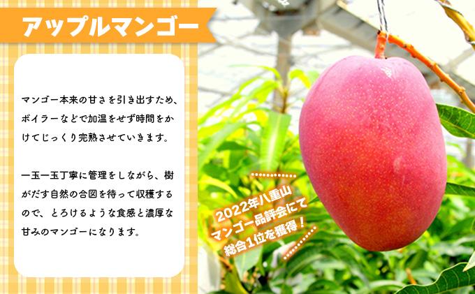 2026年 訳あり／家庭用　アップルマンゴー 約800g