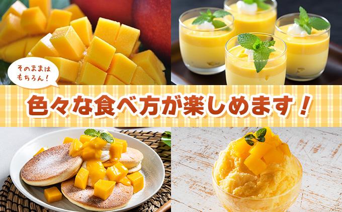 2026年 訳あり／家庭用　アップルマンゴー 約800g