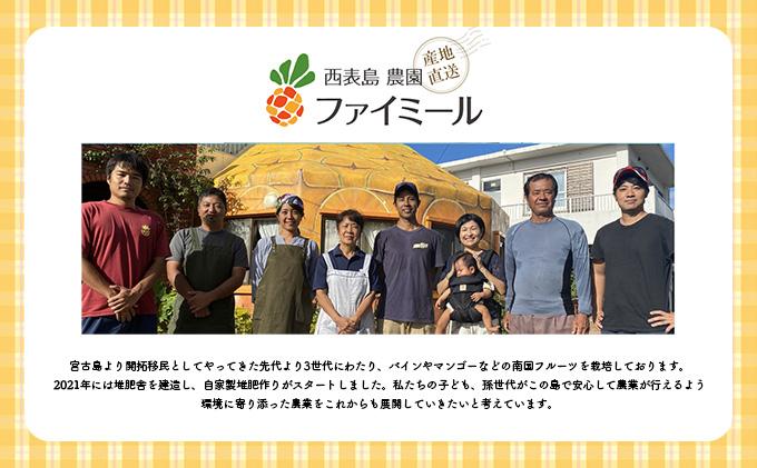 2026年 訳あり／家庭用　アップルマンゴー 約800g