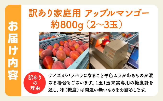 2026年 訳あり／家庭用　アップルマンゴー 約800g
