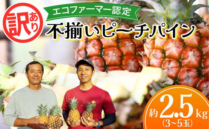 2026年 訳あり　不揃い　ピーチパイン 約2.5kg