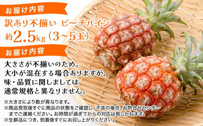 2026蟷エ 險ウ縺ゅj縲荳肴純縺縲繝斐シ繝√ヱ繧、繝ウ 邏2.5kg