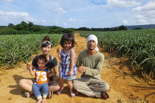 マンゴー 先行予約 沖縄 アップルマンゴー 約4kg 8玉〜12玉 西表島 ひらい農園 2024年 発送 果物 フルーツ デザート 完熟 濃厚